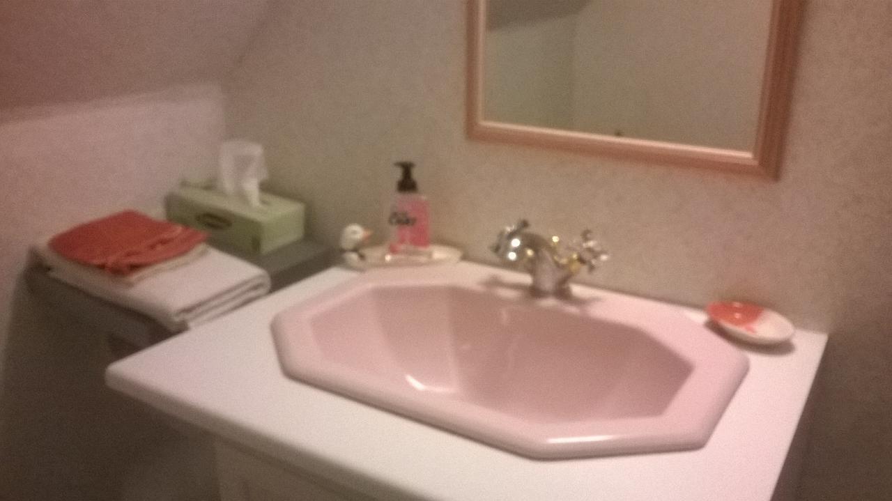 Le Hameau Aux Escargots Bed & Breakfast Bernon Rom bilde